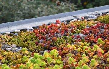 the cost of Mingoose green roof installation