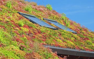 Mingoose living roof systems