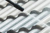 rated Mingoose roof cleaning companies